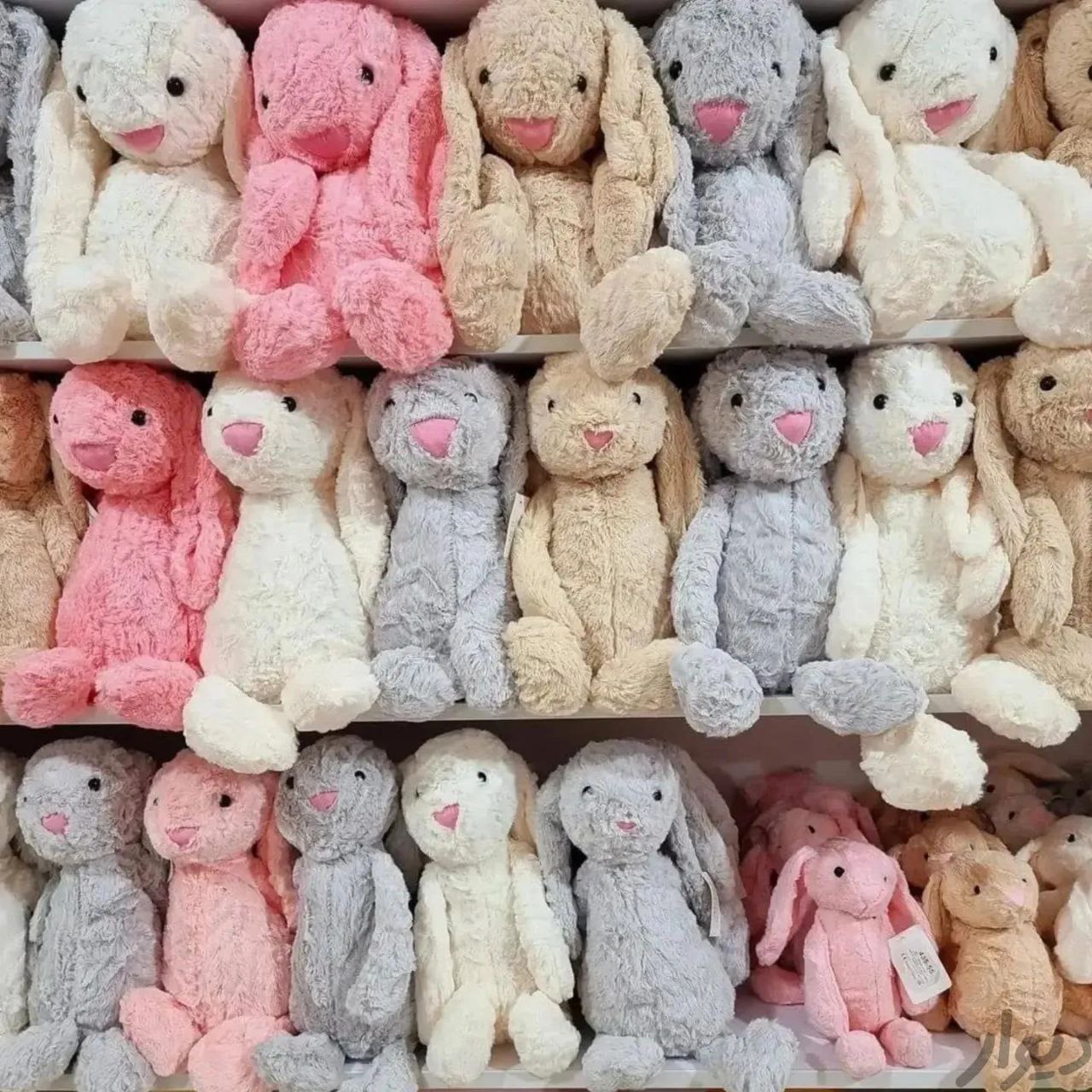 عروسک خرگوش طرح جیلی کت